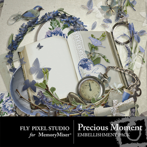 Precious_moment_emb-medium