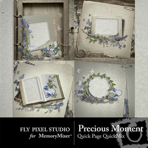 Precious_moment_qp-medium