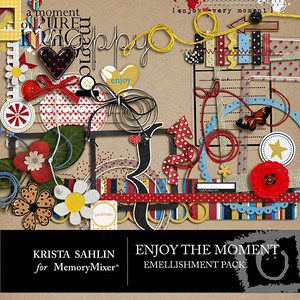 Enjoy_the_moment_emb-medium