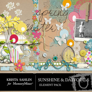 Sunshine_and_daffodils_emb-medium