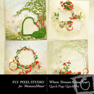 Where_dreams_come_true_qp-medium