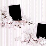 Delicate_2-small