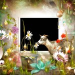 2_swing_spring_3-small