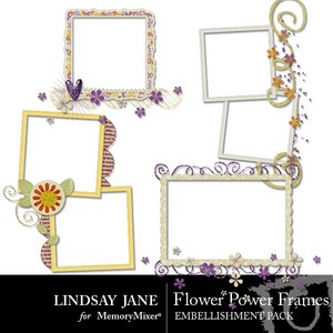 Flower_power_frames-medium