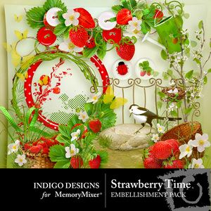 Strawberry_time_emb-medium