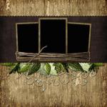 Whispering_forest_qp-p003-small