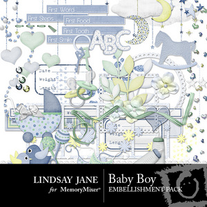 Baby_boy_emb-medium