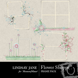 Flower_shoppe_frame_pack-medium