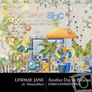 Another_day_in_paradise_emb-medium