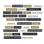 Pets_emb_prev_2-small