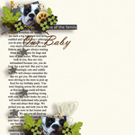 Pets_emb_samp_3-small