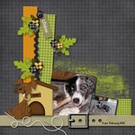Pets_emb_samp_1-small