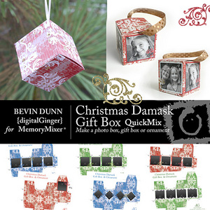 Christmas_damask_box_and_ornament_qm-medium