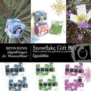 Snowflake_box_and_ornament_qm-medium