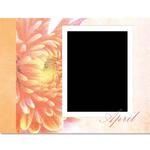 Botanical_cal-p008-small