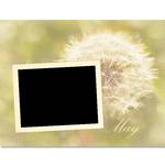 Botanical_cal-p010-small