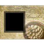 Botanical_cal-p024-small