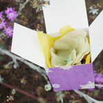 Snowflake_box_and_ornament_qm_samp_3-small