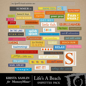 Lifes_a_beach_snipettes-medium