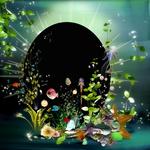 Aquatica_qp-p001-small