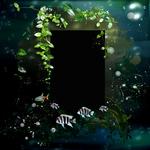 Aquatica_qp-p002-small