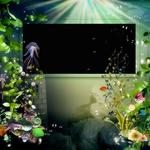 Aquatica_qp-p004-small