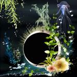 Aquatica_qp-p005-small