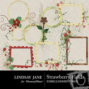 Strawberry_fields_frames-medium