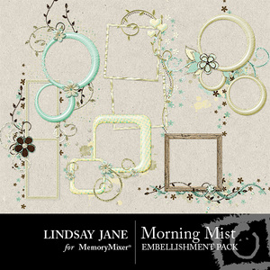 Morning_mist_frames-medium