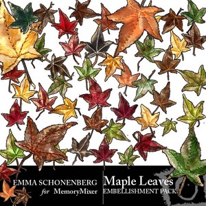 Maple_leaves_emb_copy-medium