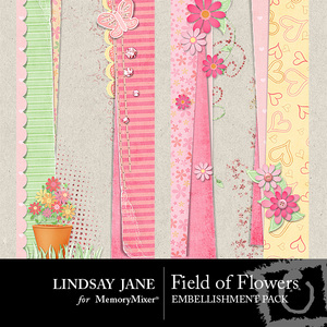 Field_of_flowers_borders-medium