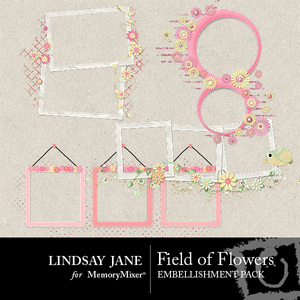 Field_of_flowers_frames_prev_1-medium
