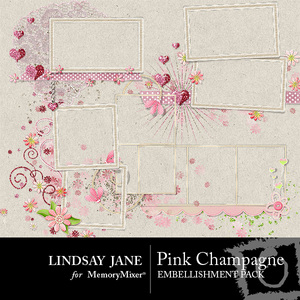 Pink_champagne_frames-medium