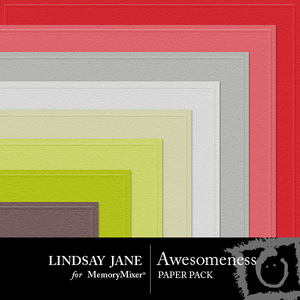 Awesomeness_embossed_pp-medium