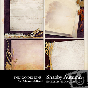 Shabby_autumn_designer_pp-medium