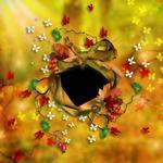 Autumn_glow_2-p005-small