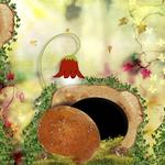 Autumn_glow_1-p004-small