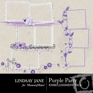 Purple_party_frames-medium