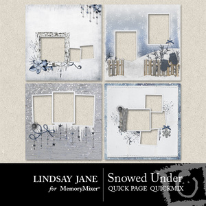 Snowed_under_qp-medium