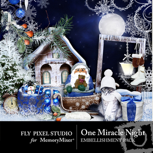 One_miracle_night_emb-medium