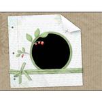 Ls-p009-small