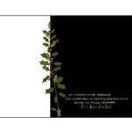 Ls-p004-small