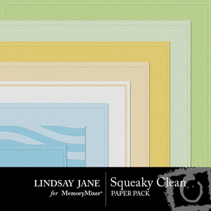 Squeaky_clean_embossed_pp-medium