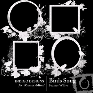 Birds_song_white_frames-medium