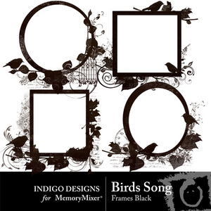Birds_song_black_frames-medium