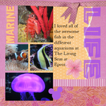 Marine Life (annirana)