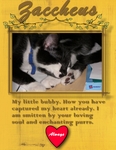 Zaccheus the Cat (djlico)