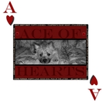 Ace of hearts (NursegreeneyesRN)