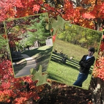 Fall-p002-small