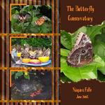 The Butterfly Conservatory (cmarcum01@aol.com)